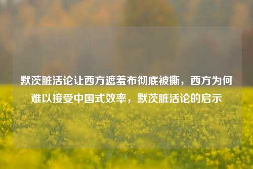 默茨脏活论让西方遮羞布彻底被撕，西方为何难以接受中国式效率，默茨脏活论的启示