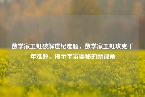 数学家王虹破解世纪难题，数学家王虹攻克千年难题，揭示宇宙奥秘的新视角
