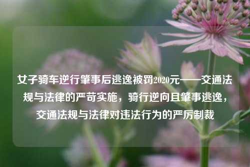女子骑车逆行肇事后逃逸被罚2020元——交通法规与法律的严苛实施，骑行逆向且肇事逃逸，交通法规与法律对违法行为的严厉制裁