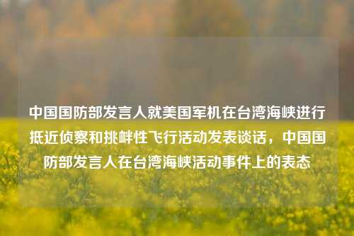 中国国防部发言人就美国军机在台湾海峡进行抵近侦察和挑衅性飞行活动发表谈话，中国国防部发言人在台湾海峡活动事件上的表态
