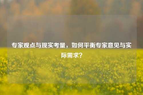 专家观点与现实考量，如何平衡专家意见与实际需求？