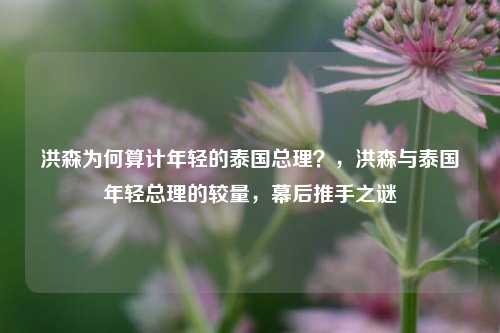 洪森为何算计年轻的泰国总理？，洪森与泰国年轻总理的较量，幕后推手之谜