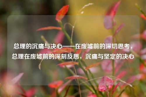 总理的沉痛与决心——在废墟前的深切思考，总理在废墟前的深刻反思，沉痛与坚定的决心