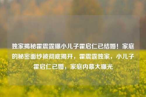 独家揭秘霍震霆曝小儿子霍启仁已结婚！家庭的秘密面纱被彻底揭开，霍震霆独家，小儿子霍启仁已婚，家庭内幕大曝光