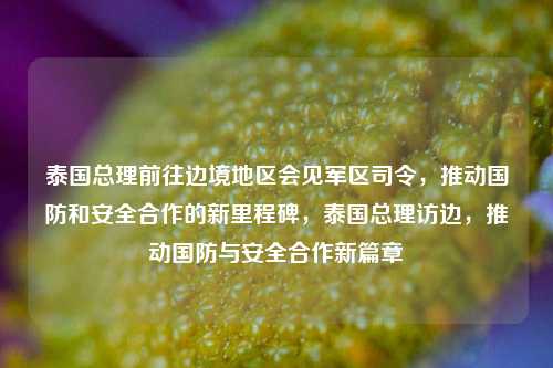 泰国总理前往边境地区会见军区司令，推动国防和安全合作的新里程碑，泰国总理访边，推动国防与安全合作新篇章