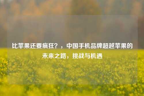 比苹果还要疯狂？，中国手机品牌超越苹果的未来之路，挑战与机遇