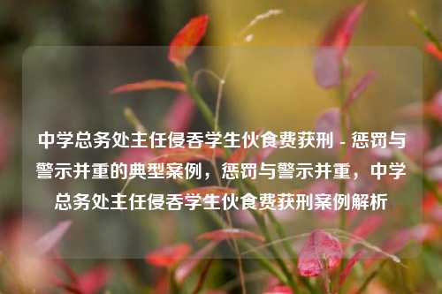 中学总务处主任侵吞学生伙食费获刑 - 惩罚与警示并重的典型案例，惩罚与警示并重，中学总务处主任侵吞学生伙食费获刑案例解析