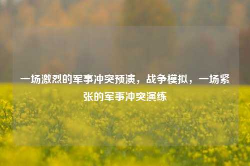 一场激烈的军事冲突预演，战争模拟，一场紧张的军事冲突演练