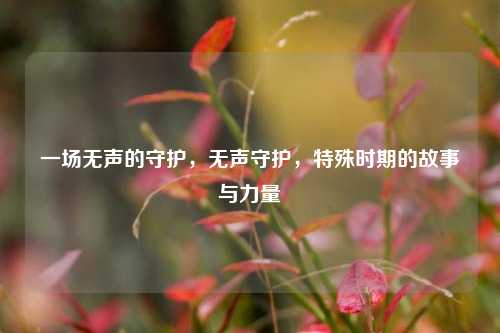 一场无声的守护，无声守护，特殊时期的故事与力量