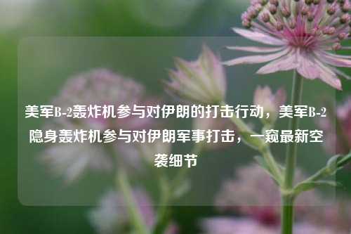 美军B-2轰炸机参与对伊朗的打击行动，美军B-2隐身轰炸机参与对伊朗军事打击，一窥最新空袭细节