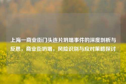 上海一商业街门头连片坍塌事件的深度剖析与反思，商业街坍塌，风险识别与应对策略探讨