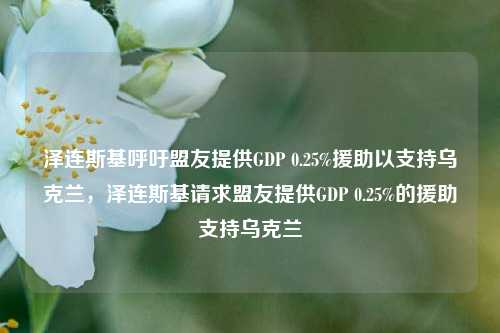 泽连斯基呼吁盟友提供GDP 0.25%援助以支持乌克兰，泽连斯基请求盟友提供GDP 0.25%的援助支持乌克兰