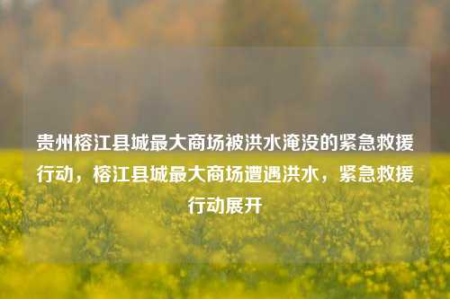 贵州榕江县城最大商场被洪水淹没的紧急救援行动，榕江县城最大商场遭遇洪水，紧急救援行动展开