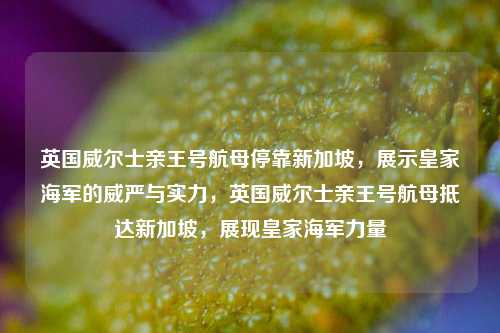 英国威尔士亲王号航母停靠新加坡，展示皇家海军的威严与实力，英国威尔士亲王号航母抵达新加坡，展现皇家海军力量