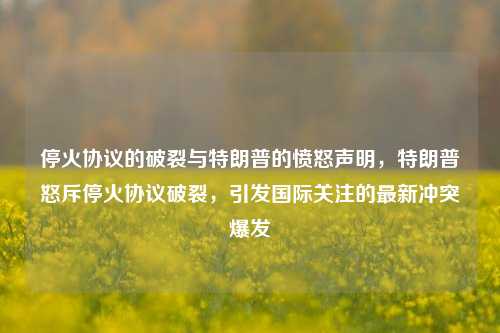 停火协议的破裂与特朗普的愤怒声明，特朗普怒斥停火协议破裂，引发国际关注的最新冲突爆发