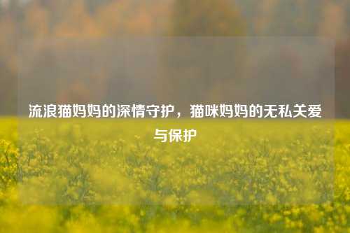 流浪猫妈妈的深情守护，猫咪妈妈的无私关爱与保护