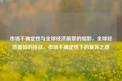 市场不确定性与全球经济前景的缩影，全球经济面临的挑战，市场不确定性下的复苏之路
