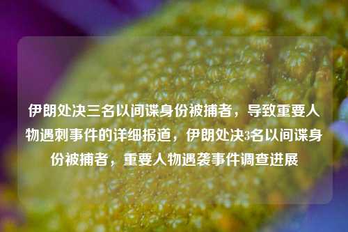 伊朗处决三名以间谍身份被捕者，导致重要人物遇刺事件的详细报道，伊朗处决3名以间谍身份被捕者，重要人物遇袭事件调查进展
