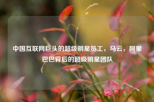 中国互联网巨头的超级明星员工，马云，阿里巴巴背后的超级明星团队