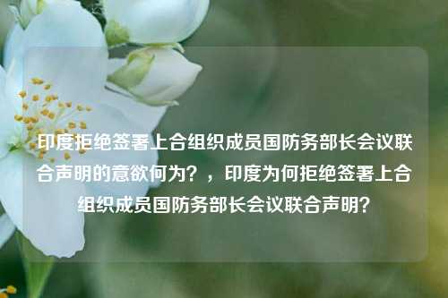 印度拒绝签署上合组织成员国防务部长会议联合声明的意欲何为？，印度为何拒绝签署上合组织成员国防务部长会议联合声明？