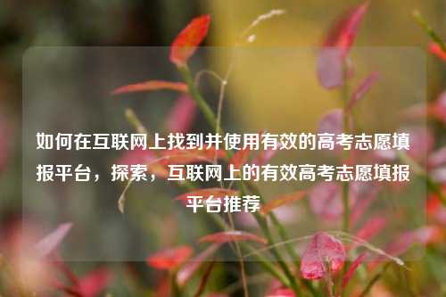 如何在互联网上找到并使用有效的高考志愿填报平台，探索，互联网上的有效高考志愿填报平台推荐
