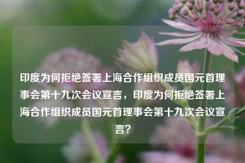 印度为何拒绝签署上海合作组织成员国元首理事会第十九次会议宣言，印度为何拒绝签署上海合作组织成员国元首理事会第十九次会议宣言？