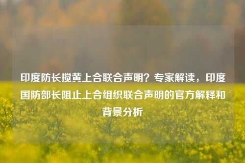 印度防长搅黄上合联合声明？专家解读，印度国防部长阻止上合组织联合声明的官方解释和背景分析