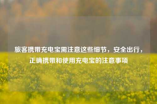 旅客携带充电宝需注意这些细节，安全出行，正确携带和使用充电宝的注意事项