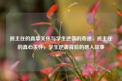 班主任的真挚关怀与学生逆袭的奇迹，班主任的真心关怀，学生逆袭背后的感人故事