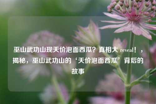 巫山武功山现天价泡面西瓜？真相大 reveal！，揭秘，巫山武功山的‘天价泡面西瓜’背后的故事