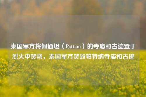 泰国军方将佩通坦（Pattani）的寺庙和古迹置于烈火中焚烧，泰国军方焚毁帕特纳寺庙和古迹