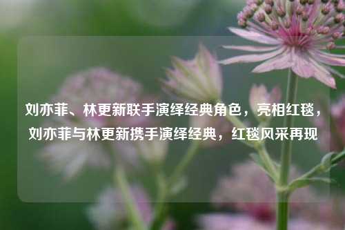 刘亦菲、林更新联手演绎经典角色，亮相红毯，刘亦菲与林更新携手演绎经典，红毯风采再现