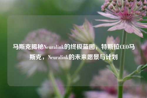 马斯克揭秘Neuralink的终极蓝图，特斯拉CEO马斯克，Neuralink的未来愿景与计划