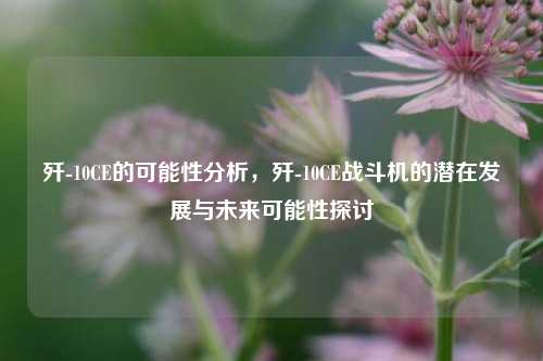 歼-10CE的可能性分析，歼-10CE战斗机的潜在发展与未来可能性探讨