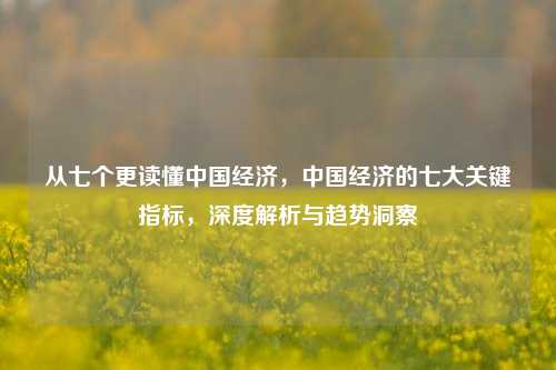 从七个更读懂中国经济，中国经济的七大关键指标，深度解析与趋势洞察