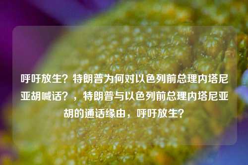 呼吁放生？特朗普为何对以色列前总理内塔尼亚胡喊话？，特朗普与以色列前总理内塔尼亚胡的通话缘由，呼吁放生？