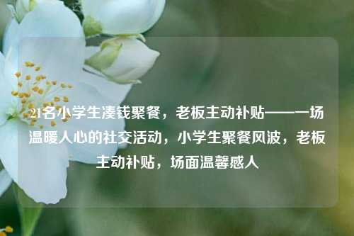 21名小学生凑钱聚餐，老板主动补贴——一场温暖人心的社交活动，小学生聚餐风波，老板主动补贴，场面温馨感人