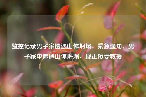 监控记录男子家遭遇山体坍塌，紧急通知，男子家中遭遇山体坍塌，现正接受救援