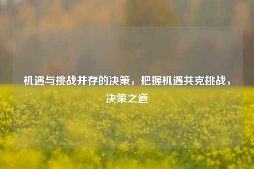 机遇与挑战并存的决策，把握机遇共克挑战，决策之道