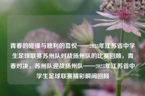 青春的碰撞与胜利的喜悦——2023年江苏省中学生足球联赛苏州队对战扬州队的比赛回顾，青春对决，苏州队迎战扬州队——2023年江苏省中学生足球联赛精彩瞬间回顾