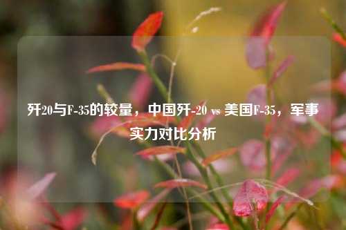歼20与F-35的较量，中国歼-20 vs 美国F-35，军事实力对比分析