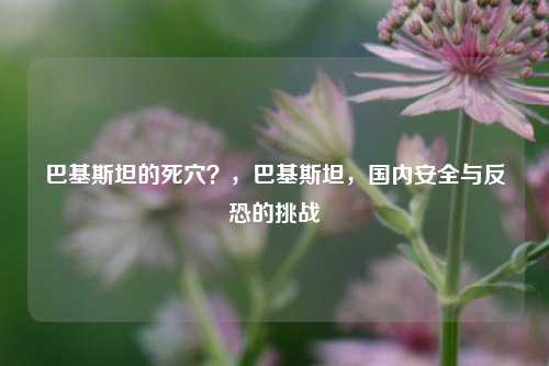巴基斯坦的死穴？，巴基斯坦，国内安全与反恐的挑战