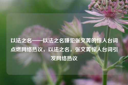 以法之名——以法之名嫌犯张文菁的惊人台词点燃网络热议，以法之名，张文菁惊人台词引发网络热议