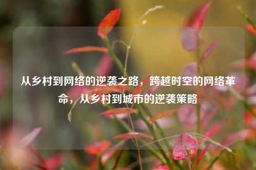 从乡村到网络的逆袭之路，跨越时空的网络革命，从乡村到城市的逆袭策略