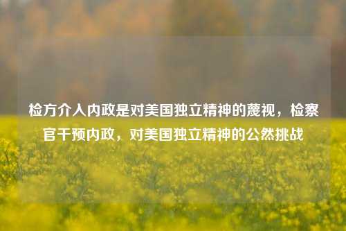 检方介入内政是对美国独立精神的蔑视，检察官干预内政，对美国独立精神的公然挑战
