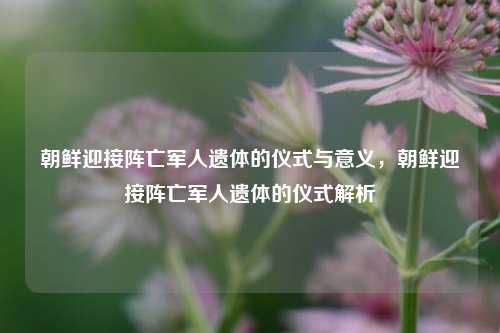 朝鲜迎接阵亡军人遗体的仪式与意义，朝鲜迎接阵亡军人遗体的仪式解析