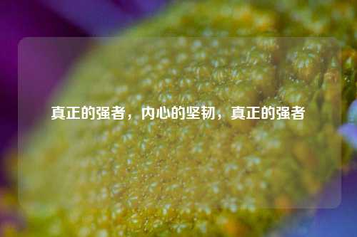真正的强者，内心的坚韧，真正的强者