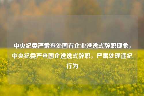 中央纪委严肃查处国有企业逃逸式辞职现象，中央纪委严查国企逃逸式辞职，严肃处理违纪行为