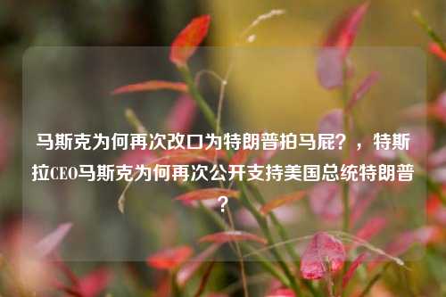 马斯克为何再次改口为特朗普拍马屁？，特斯拉CEO马斯克为何再次公开支持美国总统特朗普？