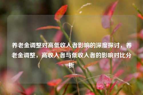 养老金调整对高低收入者影响的深度探讨，养老金调整，高收入者与低收入者的影响对比分析